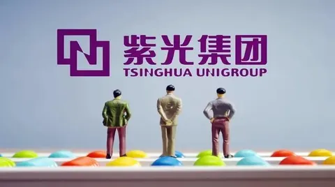 战投方智路建广联合体600亿到位，紫光集团重整顺利进入交割期