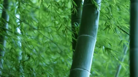 IBM的企业架构经典模型——CBM！
