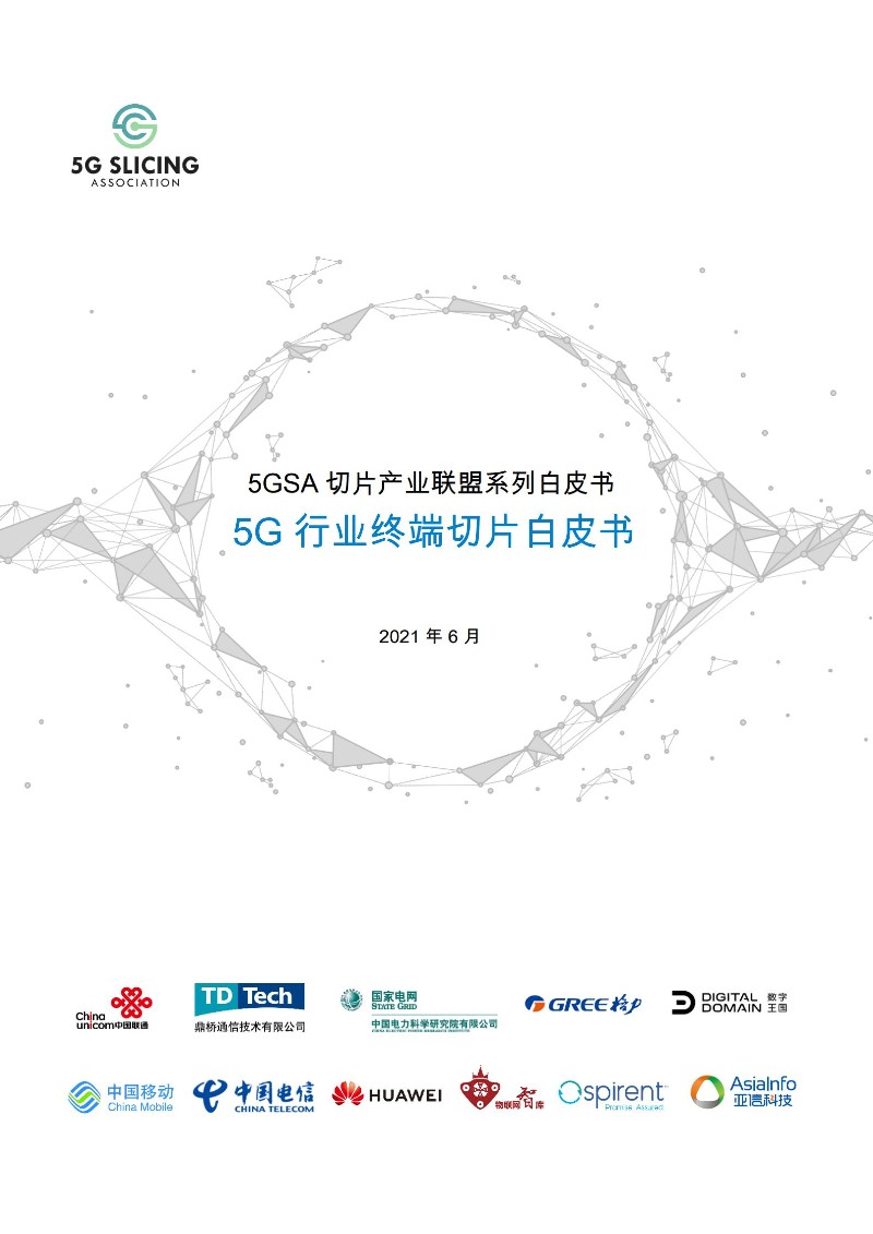 5G 行业终端切片白皮书_00